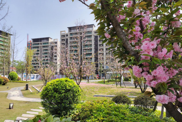 （转载）成都轨道TOD最新建设进度条来啦
