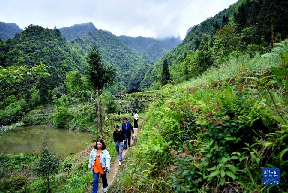 探访湖北七姊妹山国家级自然保护区