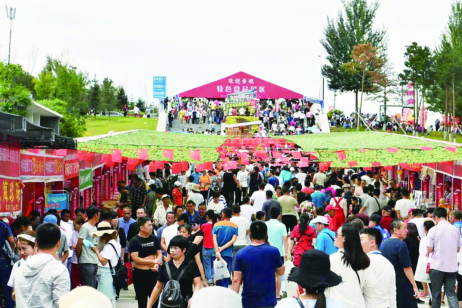 第十八届长春农博会精彩绽放