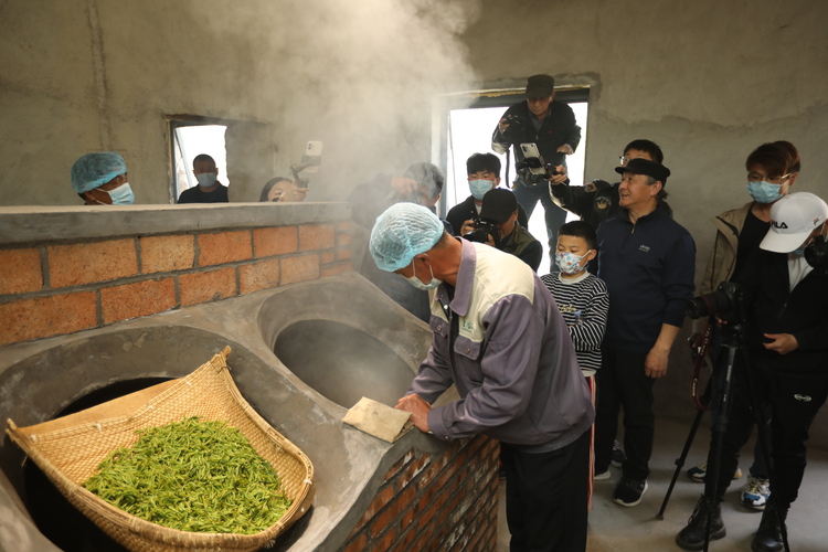 “谷雨试新茶，寻鲜圣谷山” 日照新媒体达人2022春茶采风活动举行