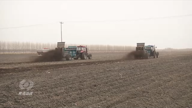 焦点访谈丨黑土地上农事忙