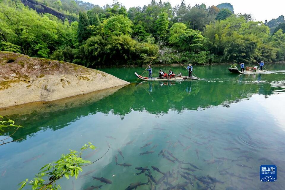 武夷春景