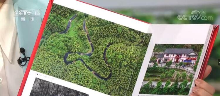 【走进老区看新貌】致力山村“蝶变”路 神山村绘就幸福画册