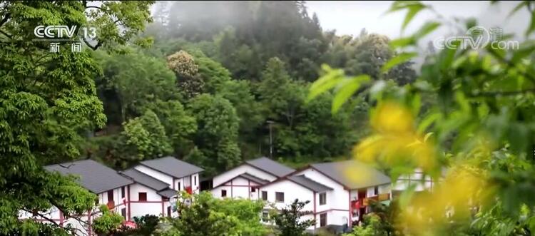 【走进老区看新貌】致力山村“蝶变”路 神山村绘就幸福画册
