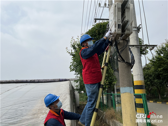 （陕西省唯一附链接）激活阎良甜瓜种植“密钥” 电力为区域乡村振兴赋能