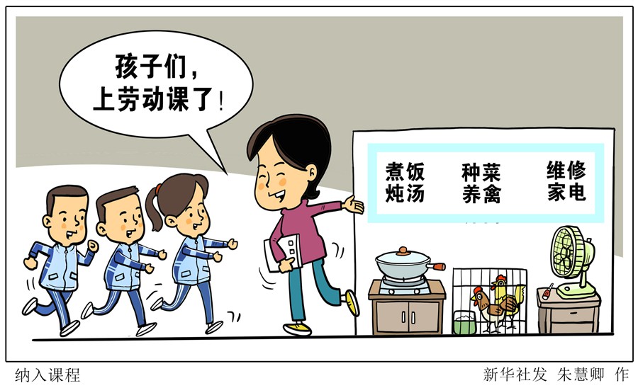 孩子们 上劳动课了！——聚焦中小学新版劳动课几个关注点