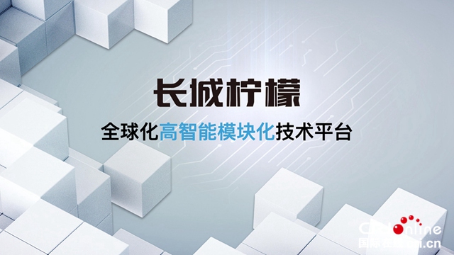 图片默认标题_fororder_image004