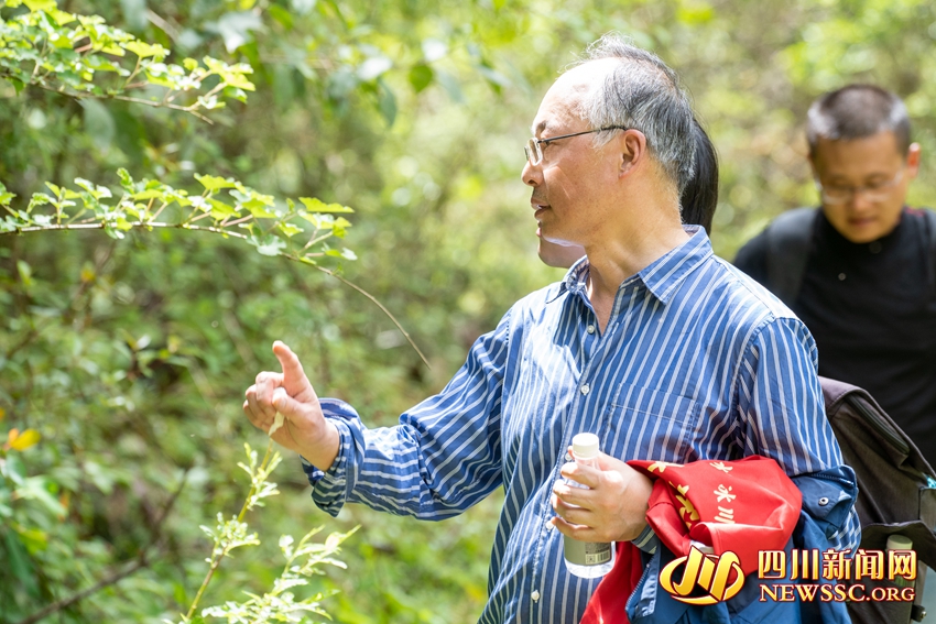 （转载）【探秘海螺沟③】科考团专家：好山育好水 对本次寻找“四川好水”之行充满信心