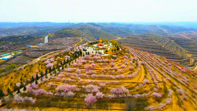 走进老区看新貌丨传承红色基因 塞上江南巨变