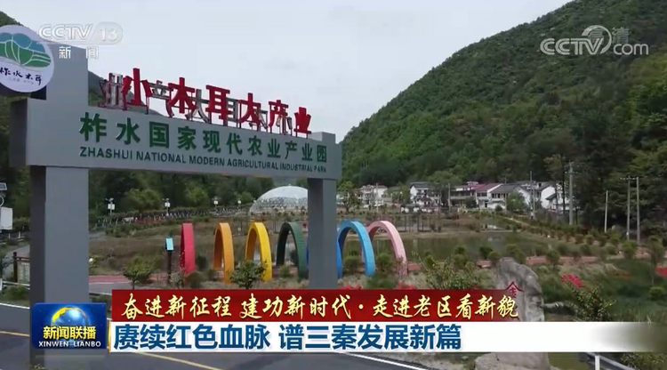 【奋进新征程 建功新时代·走进老区看新貌】赓续红色血脉 谱三秦发展新篇