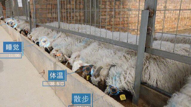 走进老区看新貌丨传承红色基因 塞上江南巨变