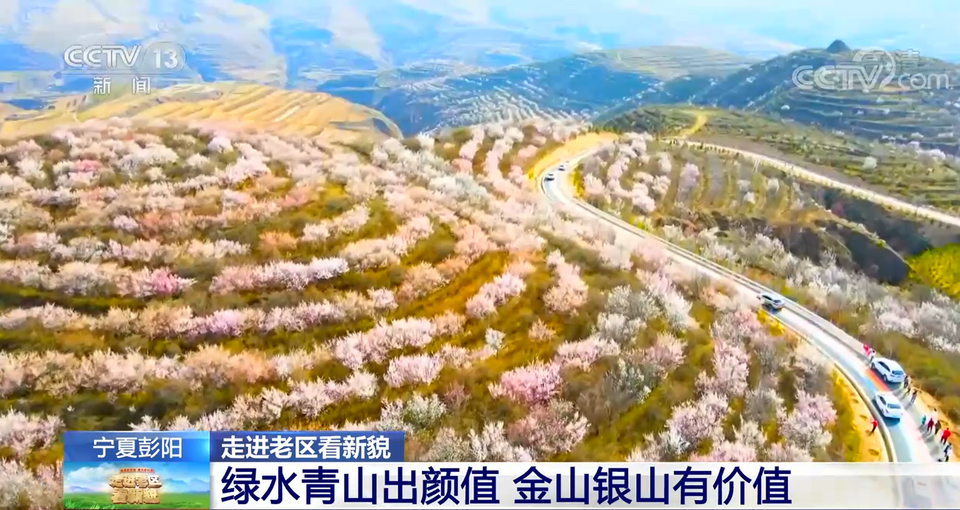 【走进老区看新貌】宁夏彭阳：绿水青山出颜值 金山银山有价值