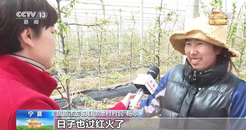 【走进老区看新貌】宁夏彭阳：绿水青山出颜值 金山银山有价值
