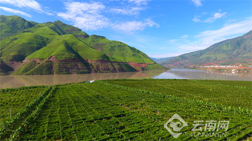 【已审】丽江永胜：绿色发展引领乡村振兴