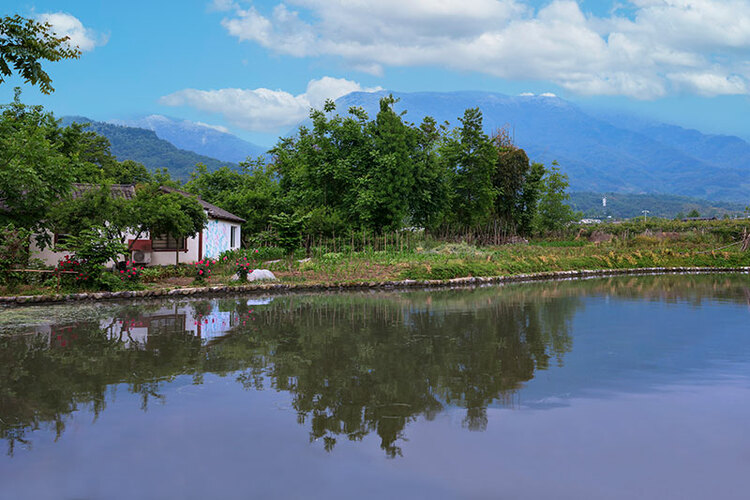 【创建天府旅游名县】美丽绵竹 画境棚花_fororder_棚花村一角-摄影-饶民