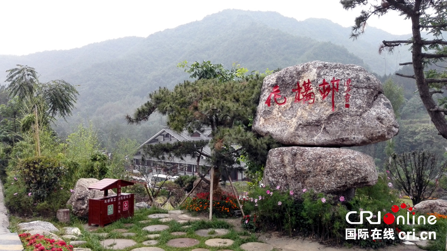 图片默认标题