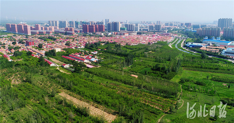 河北怀来：绿染家园