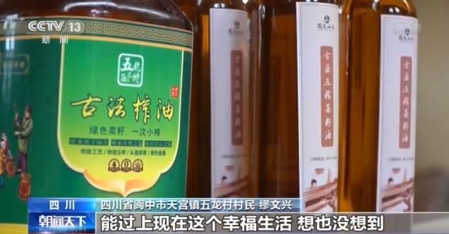 走向我们的小康生活丨五龙村：守住青山绿水 留下美丽乡愁