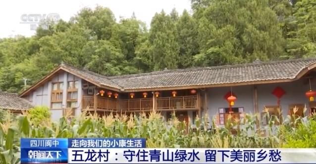 走向我们的小康生活丨五龙村：守住青山绿水 留下美丽乡愁
