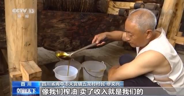 走向我们的小康生活丨五龙村：守住青山绿水 留下美丽乡愁