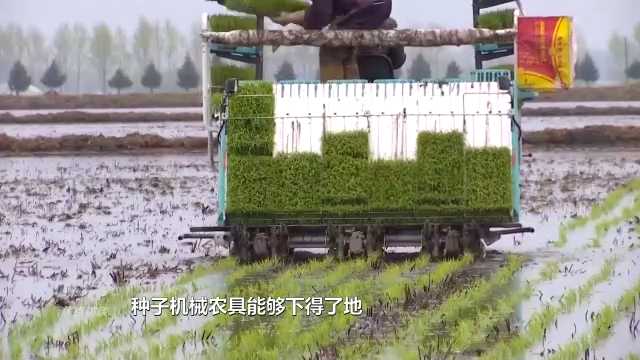 焦点访谈丨黑土地上农事忙