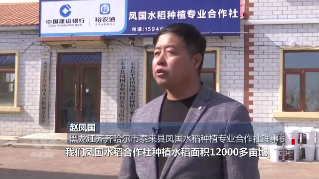 焦点访谈丨黑土地上农事忙
