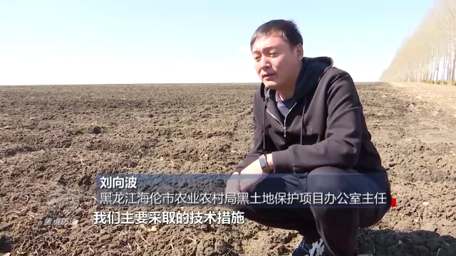 焦点访谈丨黑土地上农事忙