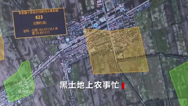 焦点访谈丨黑土地上农事忙