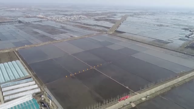 焦点访谈丨黑土地上农事忙