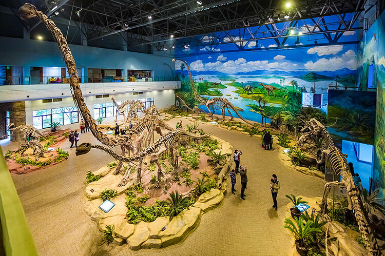 永不落幕的博物馆 自贡市开展国际博物馆日和中国旅游日系列活动_fororder_自贡恐龙博物馆展厅（摄影-廖志全）