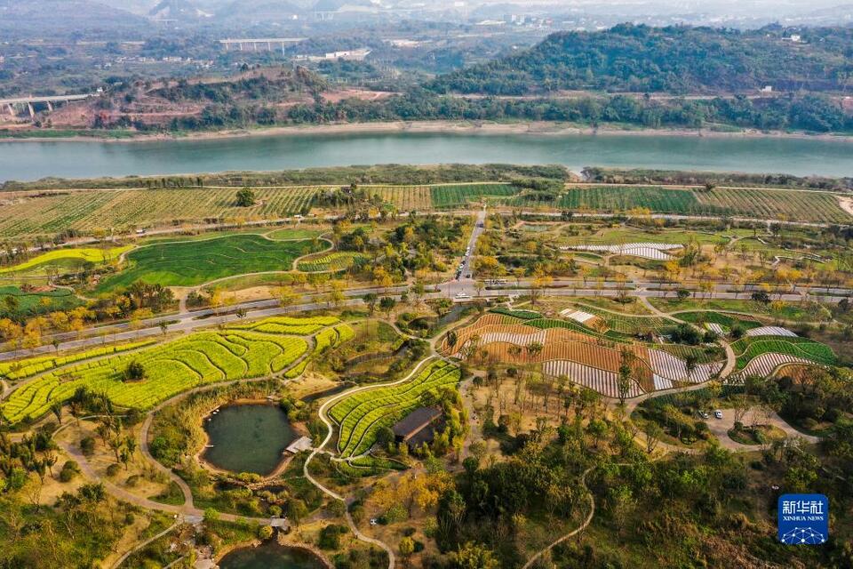 【城市远洋】重庆：一山一岛，折射长江之变