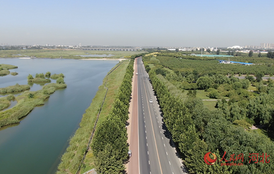 河北石家庄：为绿色发展“加油门” 加快打造天蓝地绿水秀美丽省会