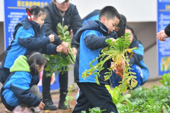 孩子们 上劳动课了！——聚焦中小学新版劳动课几个关注点
