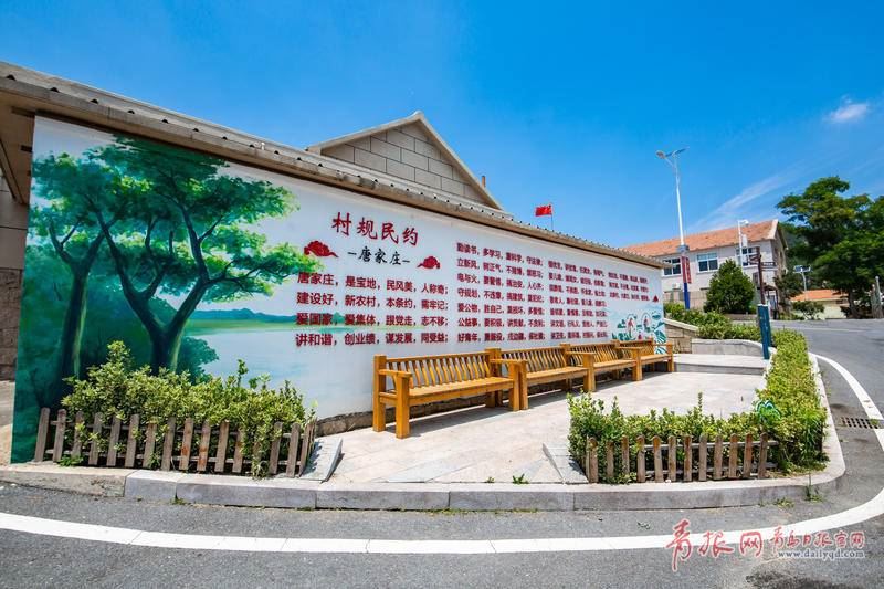 绿树青山生态宜人！青岛有个“世外桃源”