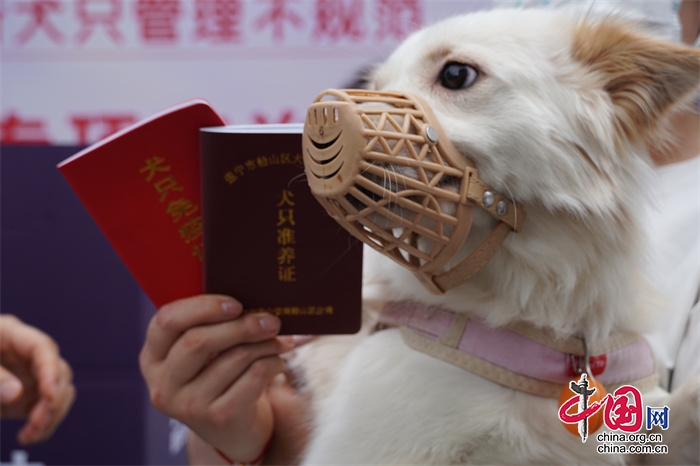 倡导文明养犬 遂宁市开展市城区犬只管理专项整治联合宣传活动