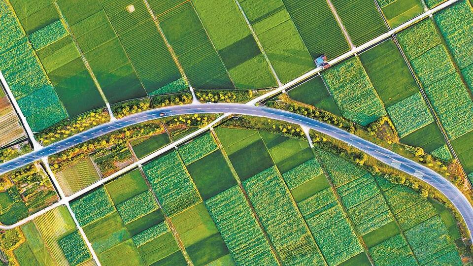 福建省首批“最美乡村‘福’路”受牌_fororder_001a3f13-5fcb-49e1-ad8e-1a0131d76a1b