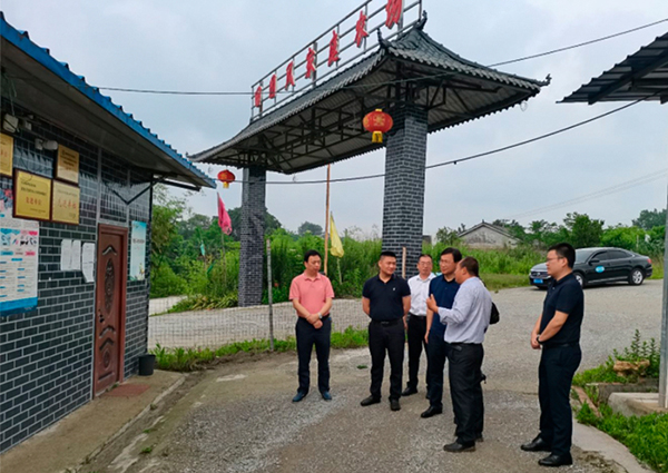 自贡市大安区人大常委会主任肖永忠到新民镇调研_fororder_2调研现场