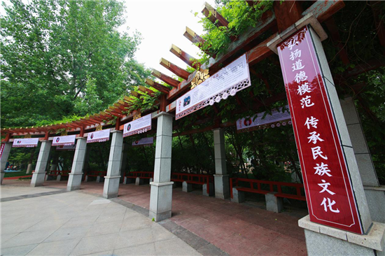 洛阳市洛龙区：建好“文明空间” 彰显“文明力量”_fororder_图片8