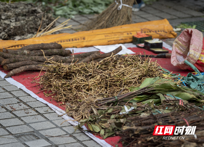 端午节十里不同俗丨走进湖南炎陵“百草园”