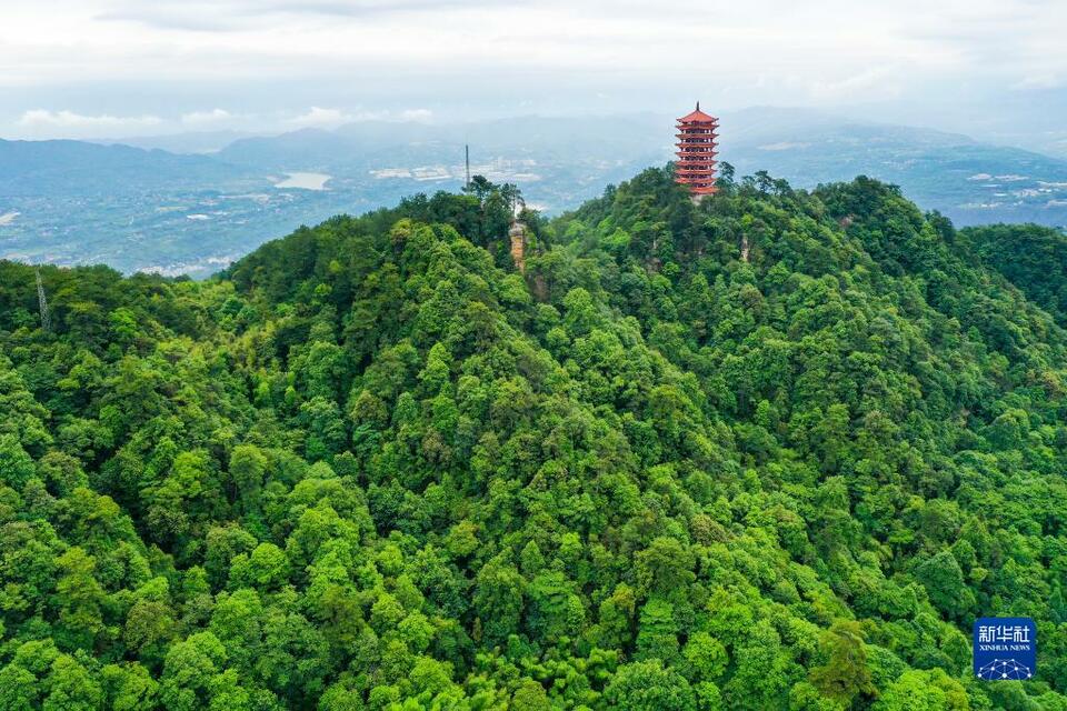 【城市远洋带图】重庆缙云山：城市“绿肺”又回来了_fororder_1128718112_16545108304931n