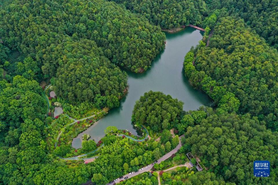 【城市远洋带图】重庆缙云山：城市“绿肺”又回来了_fororder_1128718112_16545108305621n