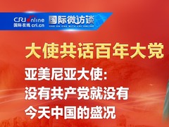【大使共话百年大党】亚美尼亚大使：没有共产党就没有今天中国的盛况