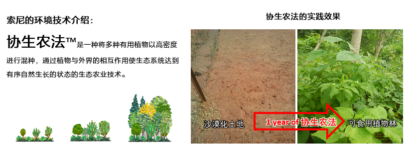提前10年 索尼计划2040年实现“零环境足迹”目标和“碳中和”