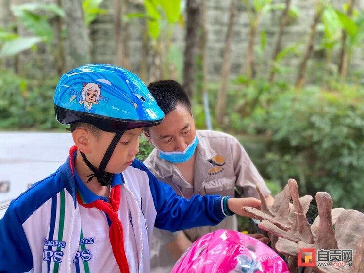 （转载）彰显“博物馆的力量” 自贡恐龙博物馆获奖不断