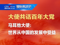 【大使共话百年大党】马耳他大使：世界从中国的发展中受益