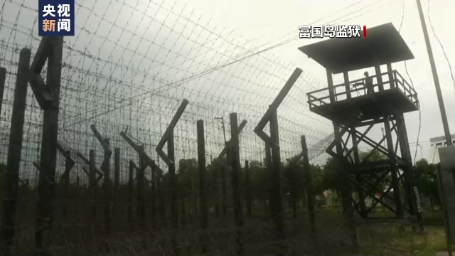 霸权之下丨越南老兵创建陈列馆 揭露美军战争罪行