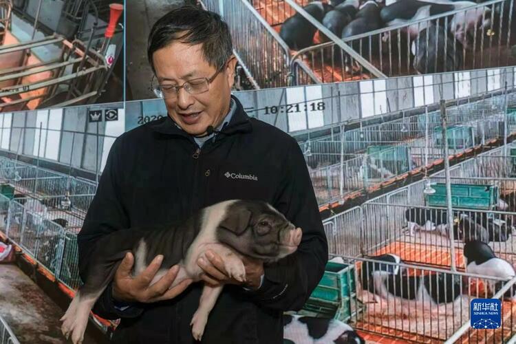 一桌美味的科技密码