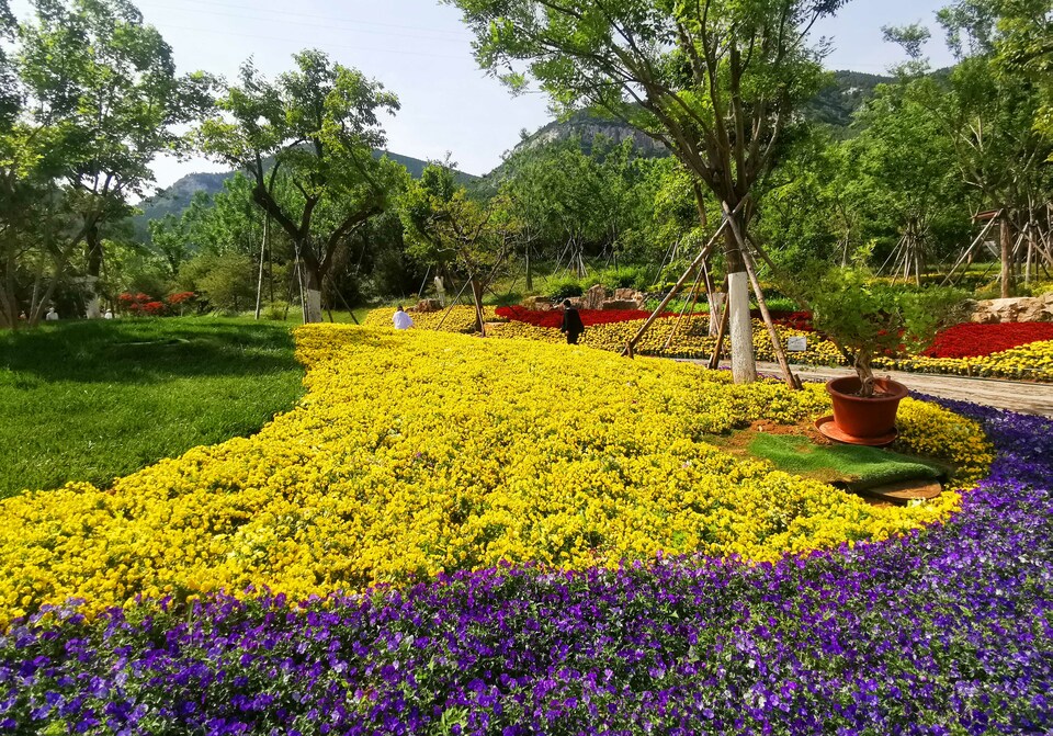 初夏时节济南佛慧山苍翠欲滴美如画