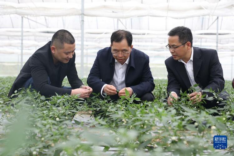 一桌美味的科技密码
