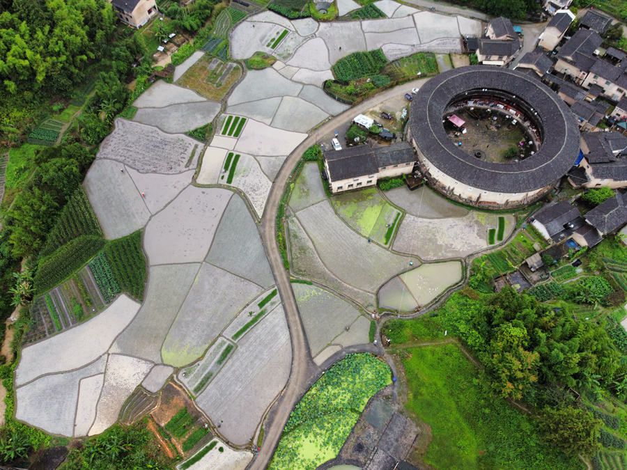 “大地指纹”点缀世遗土楼